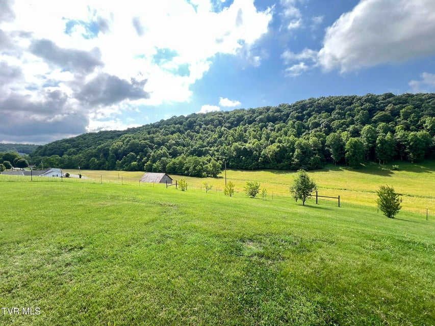 Photo #6: 18525 Horton Highway