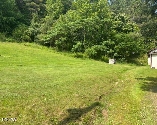 Photo #11: 11616 Alfred Cox Road