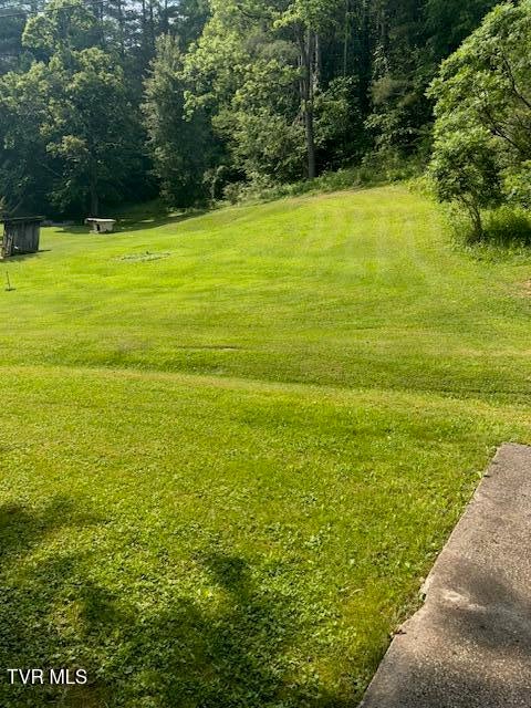 Photo #12: 11616 Alfred Cox Road