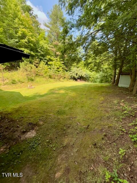 Photo #14: 11616 Alfred Cox Road