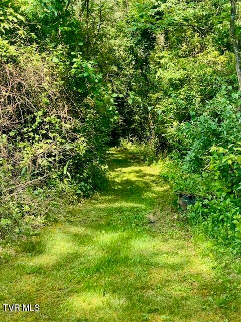 Photo #16: 11616 Alfred Cox Road