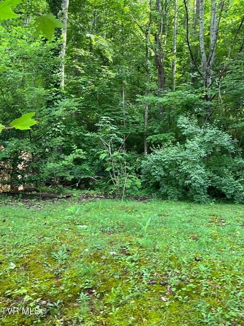 Photo #24: 1056 Ridge East Avenue