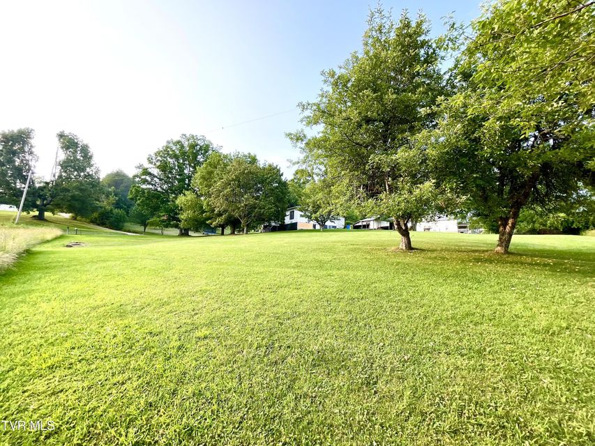 Photo #34: 446 Bethel Road