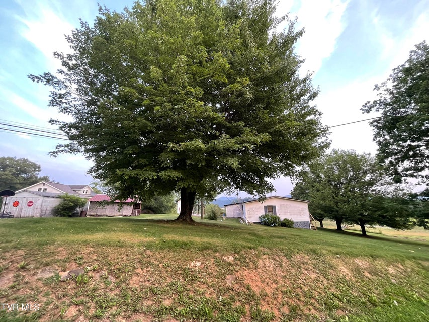 Photo #48: 446 Bethel Road