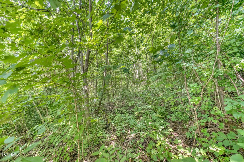 Photo #21: 963 Church Road