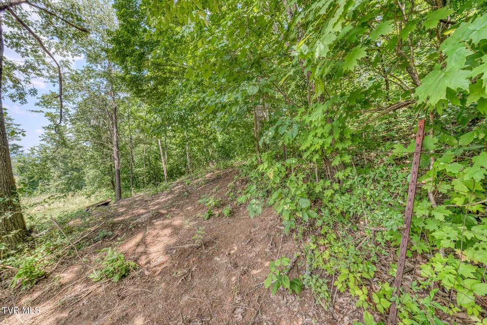 Photo #23: 963 Church Road