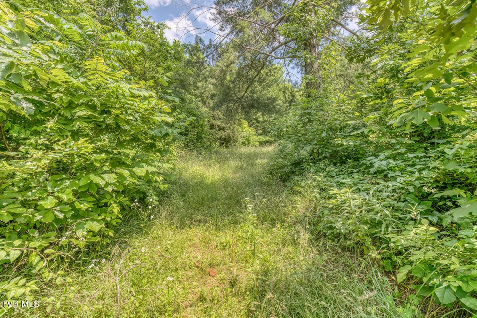 Photo #24: 963 Church Road