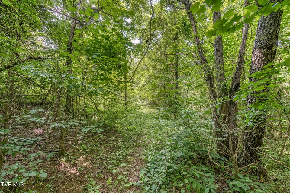 Photo #25: 963 Church Road