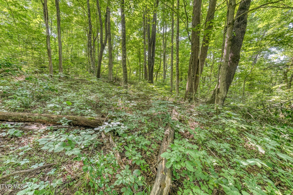 Photo #26: 963 Church Road