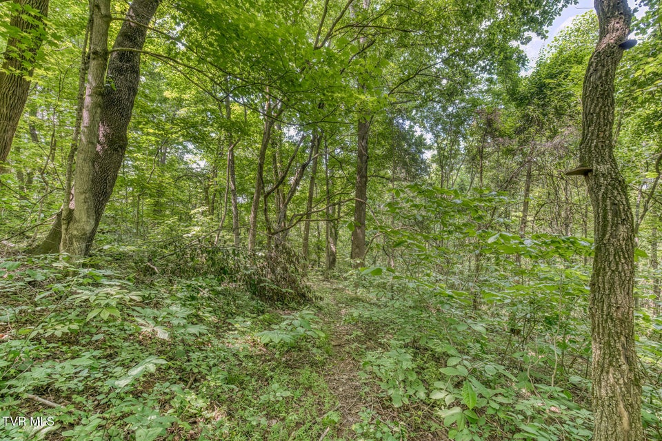 Photo #27: 963 Church Road