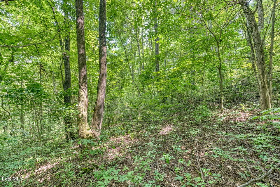 Photo #28: 963 Church Road