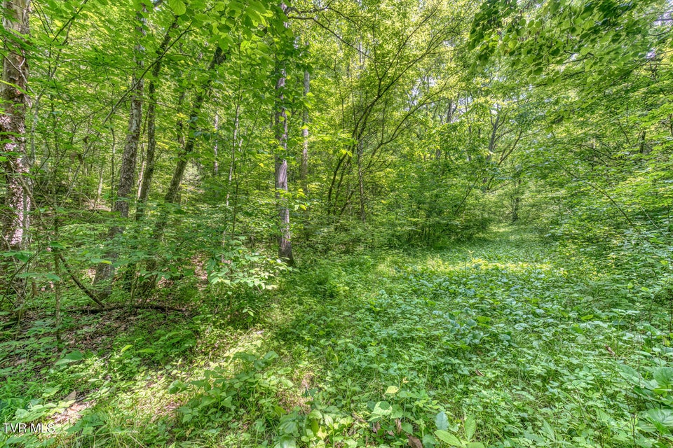 Photo #30: 963 Church Road