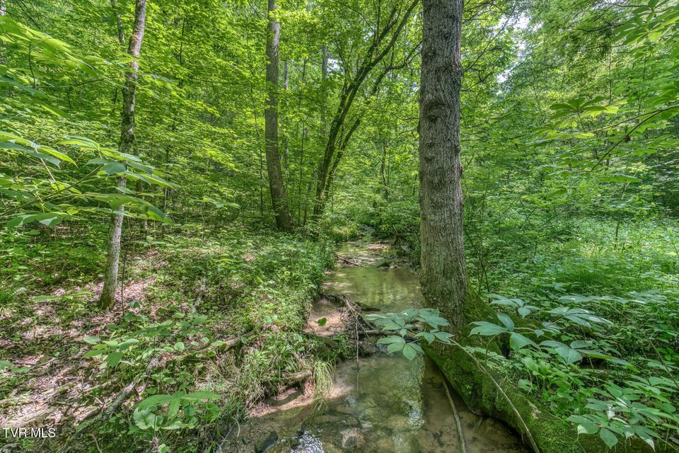 Photo #32: 963 Church Road