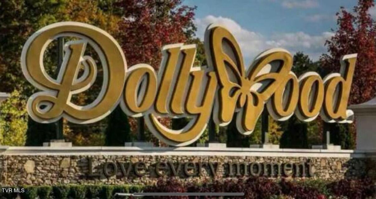 Photo #45: 817 String Run Way 