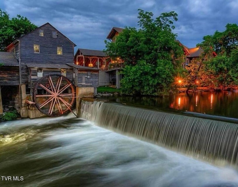 Photo #46: 817 String Run Way 