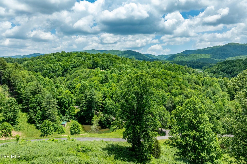 Photo #4: Tdb Ridgeview Drive