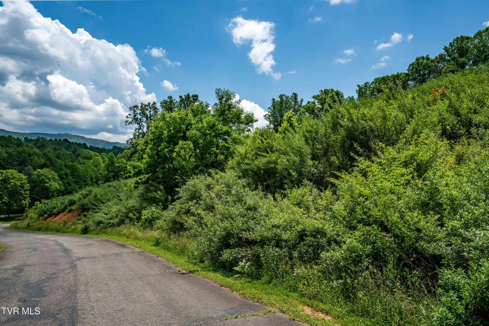Photo #29: Tdb Ridgeview Drive