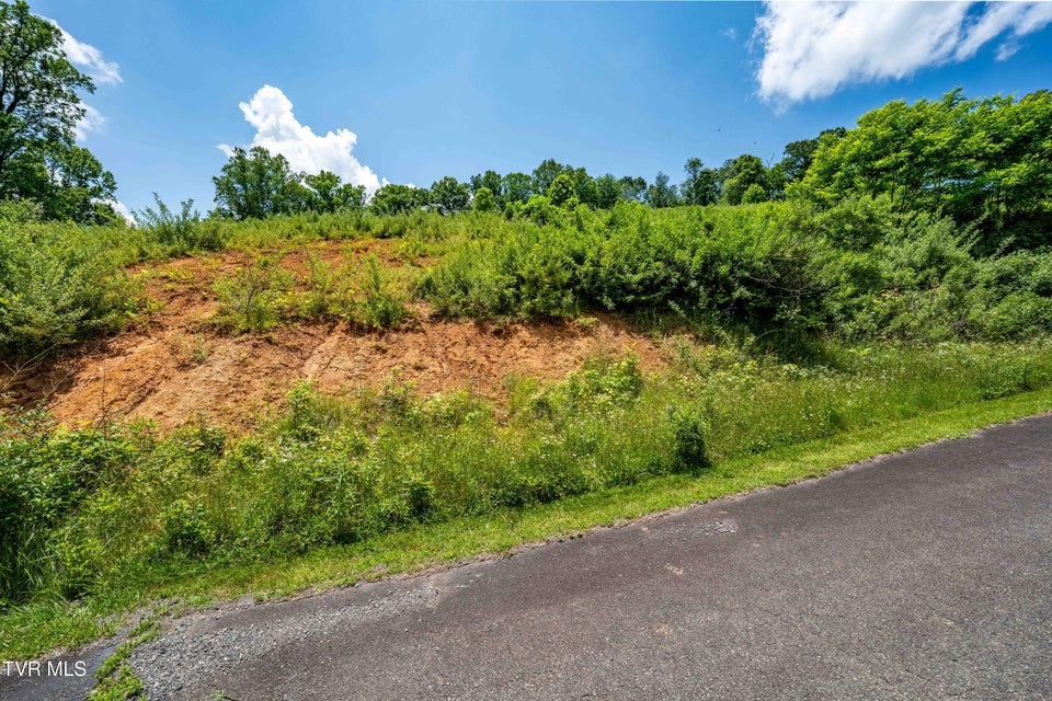 Photo #31: Tdb Ridgeview Drive