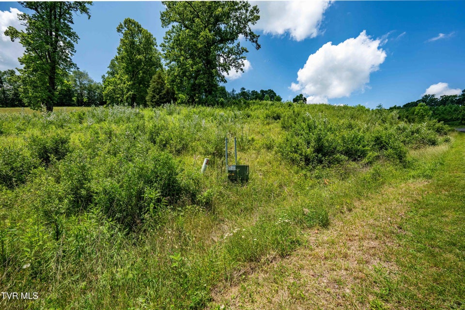 Photo #35: Tdb Ridgeview Drive