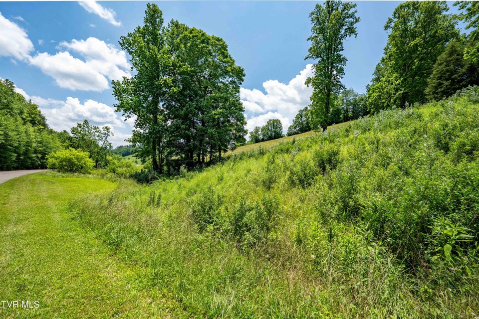Photo #36: Tdb Ridgeview Drive