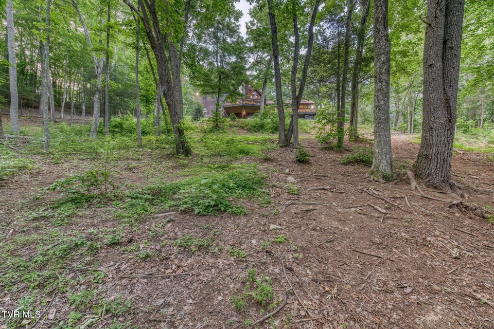 Photo #75: 191 Bear Ridge Drive