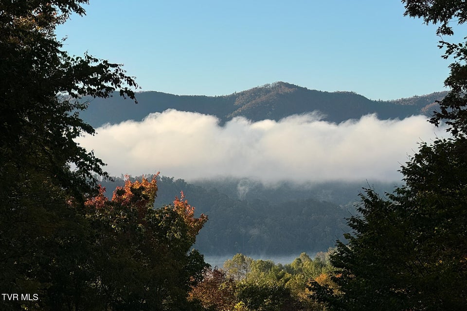 Photo #78: 191 Bear Ridge Drive