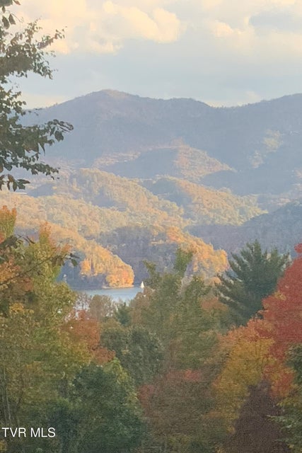 Photo #79: 191 Bear Ridge Drive