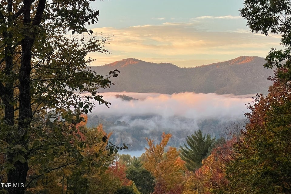 Photo #80: 191 Bear Ridge Drive