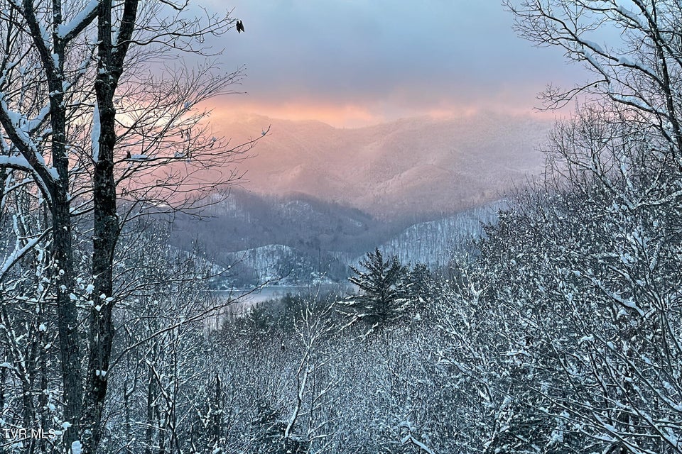 Photo #81: 191 Bear Ridge Drive