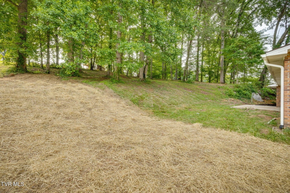 Photo #28: 183 Nuckles Drive
