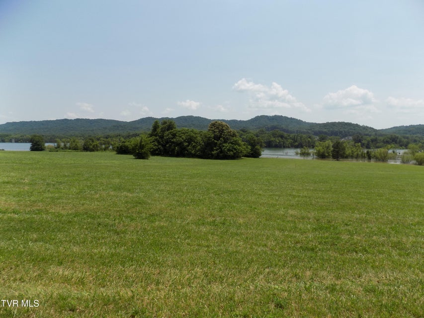 Photo #2: Tbd Highway 11w