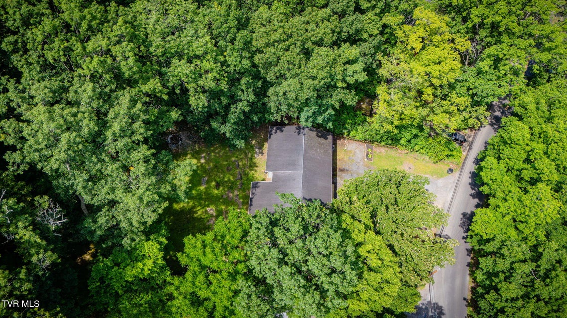 Photo #36: 3025 Shipley Street
