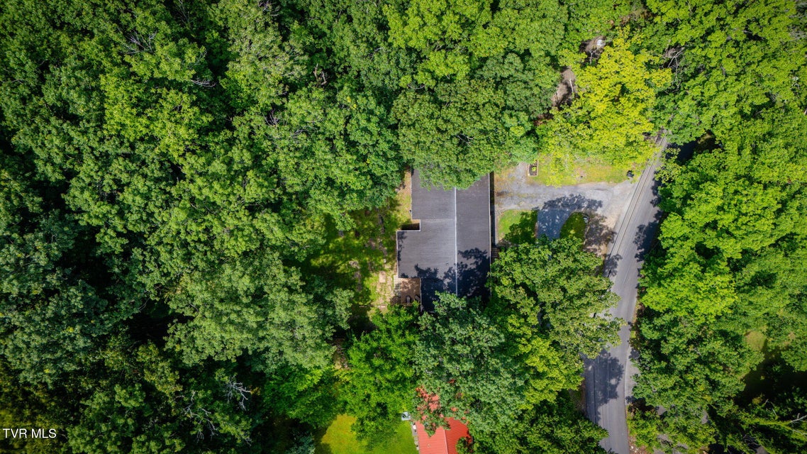 Photo #38: 3025 Shipley Street