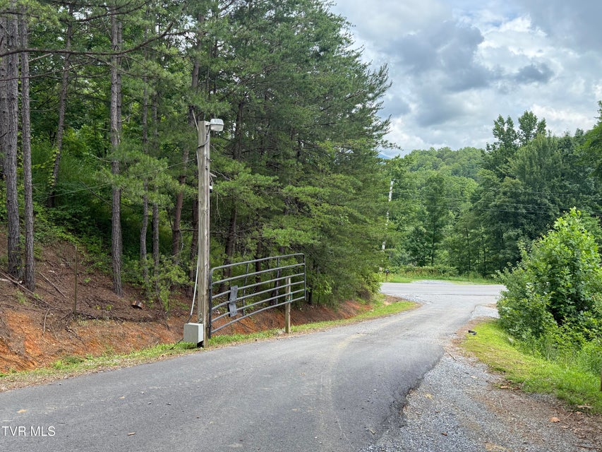 Photo #11: 3516 James Phillips Way
