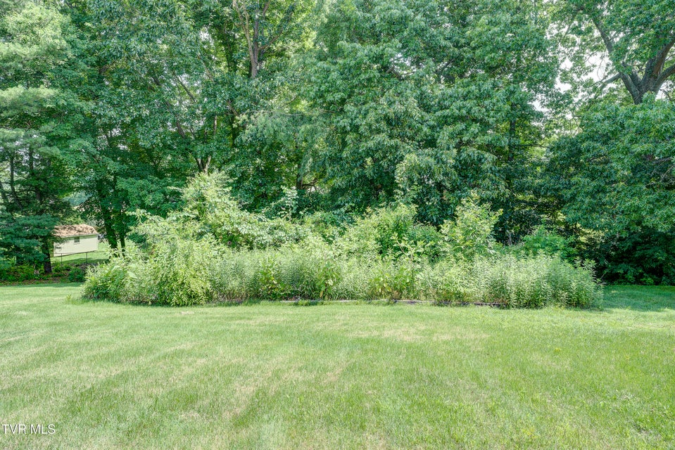 Photo #45: 216 Nelson Avenue