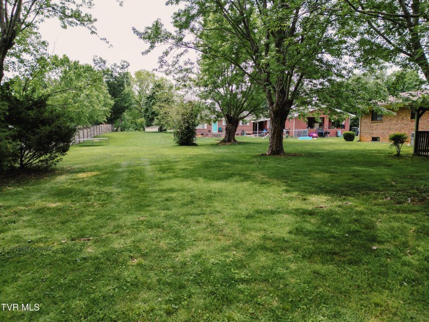 Photo #6: 110 Royce Street