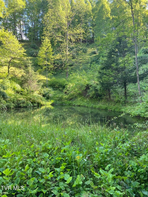 Photo #3: 945 Steves Branch