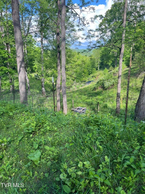 Photo #2: 945 Steves Branch