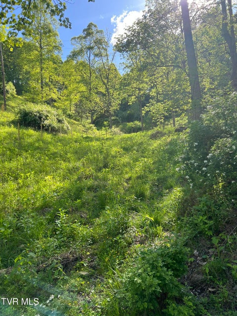 Photo #4: 945 Steves Branch
