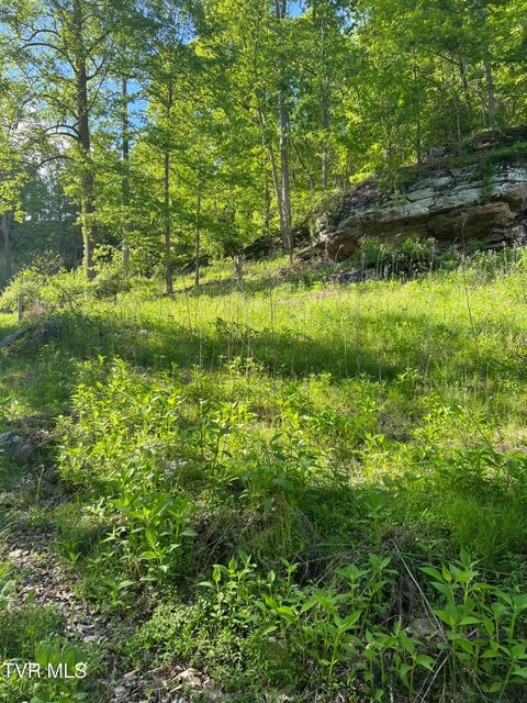 Photo #14: 945 Steves Branch