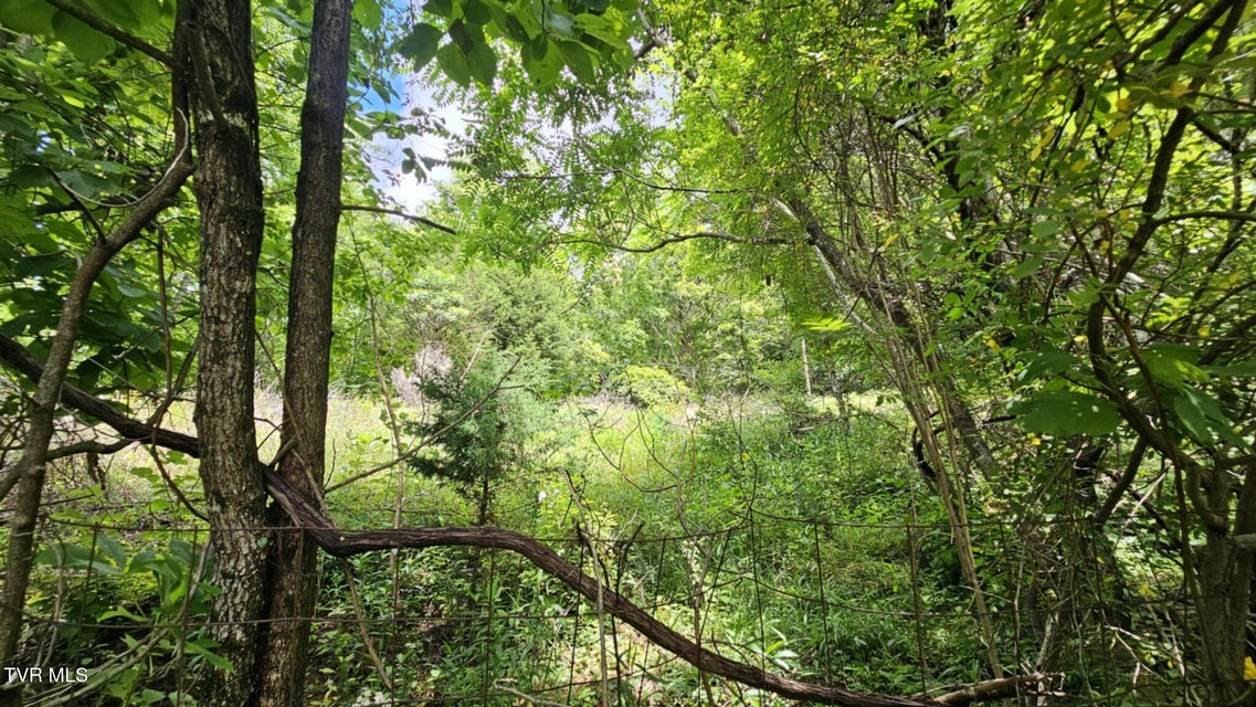 Photo #15: 314 Observation Drive