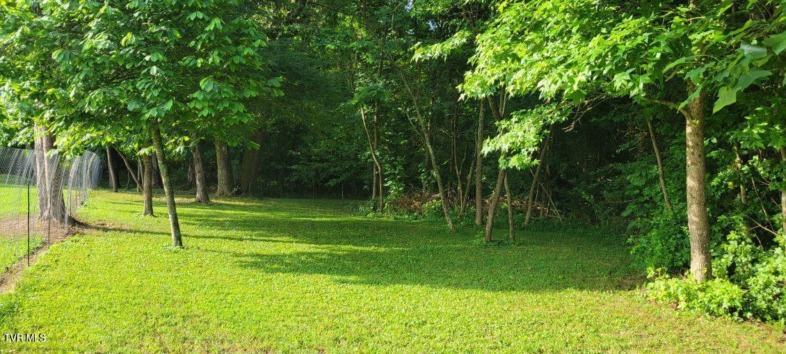 Photo #30: 1615 Christian Bend Road