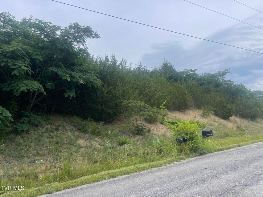 Photo #4: N/A Oakwood Road