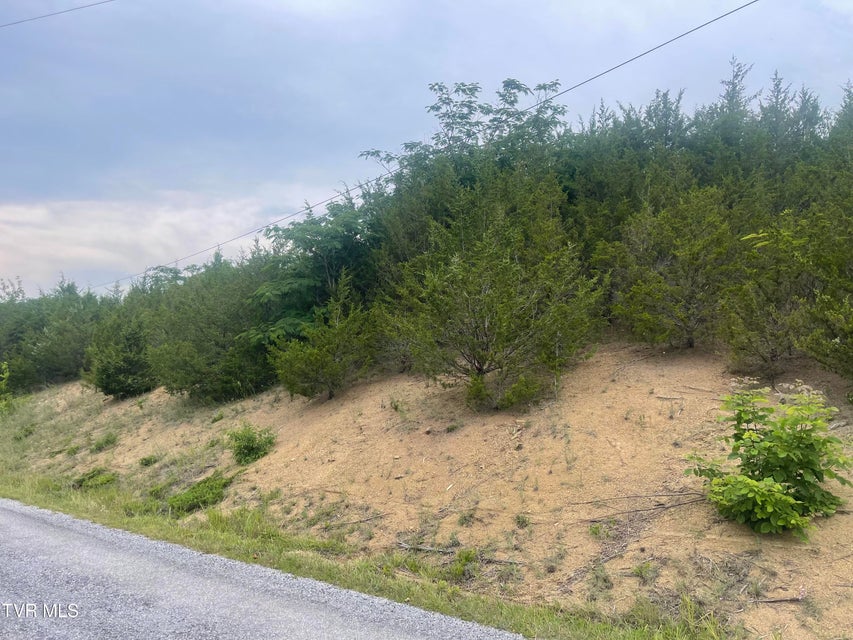 Photo #5: N/A Oakwood Road