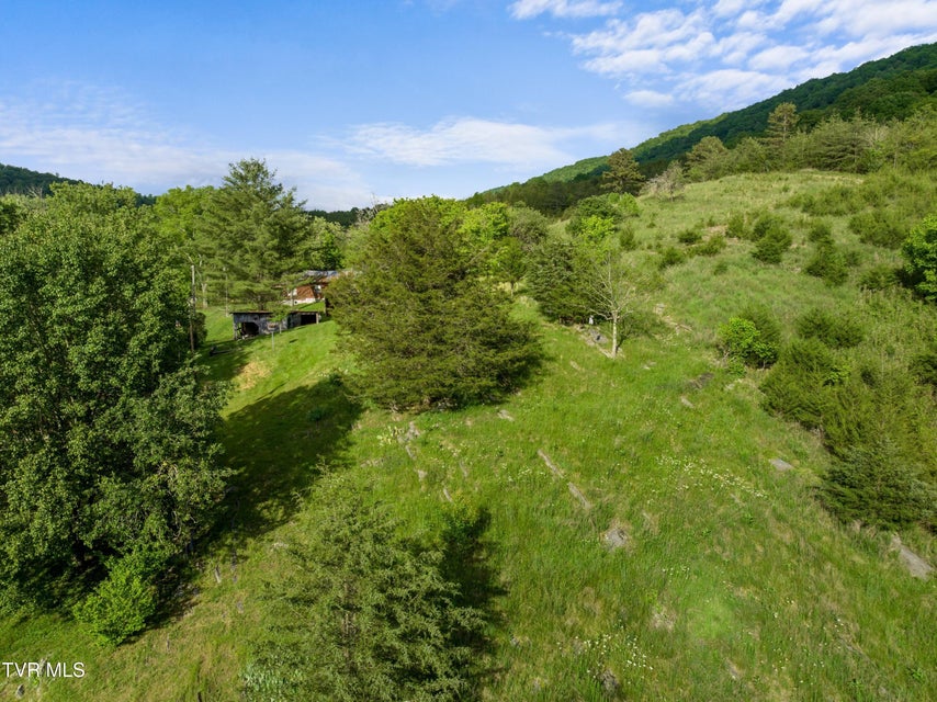 Photo #10: 1250 Clinch Mountain Road