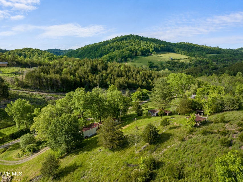 Photo #11: 1250 Clinch Mountain Road