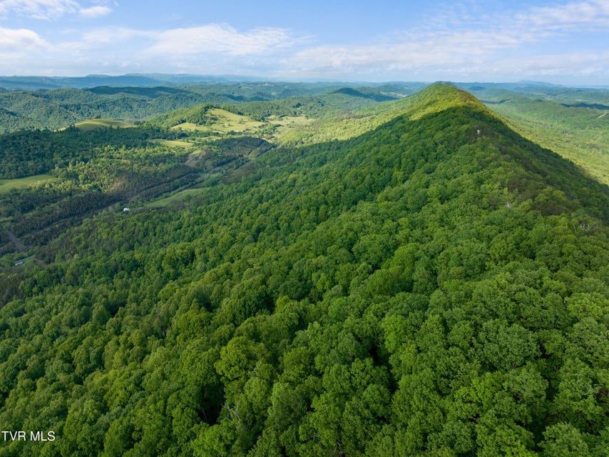 Photo #17: 1250 Clinch Mountain Road