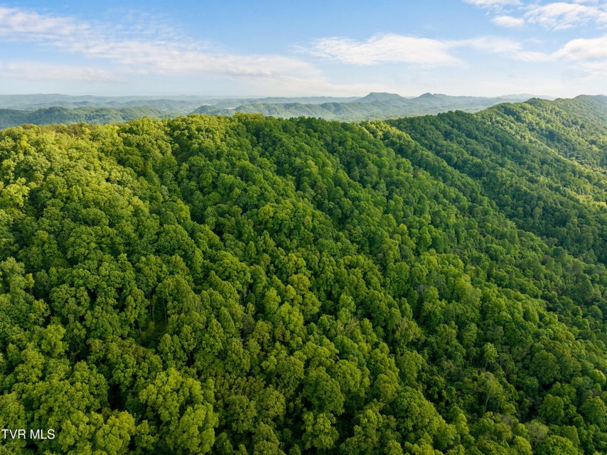 Photo #22: 1250 Clinch Mountain Road