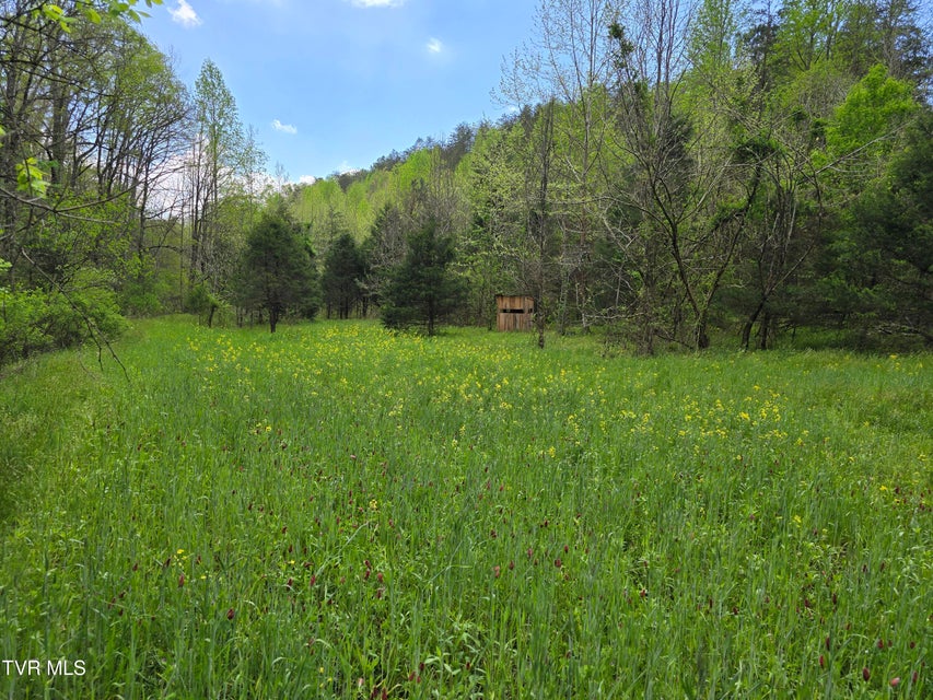 Photo #26: 1250 Clinch Mountain Road