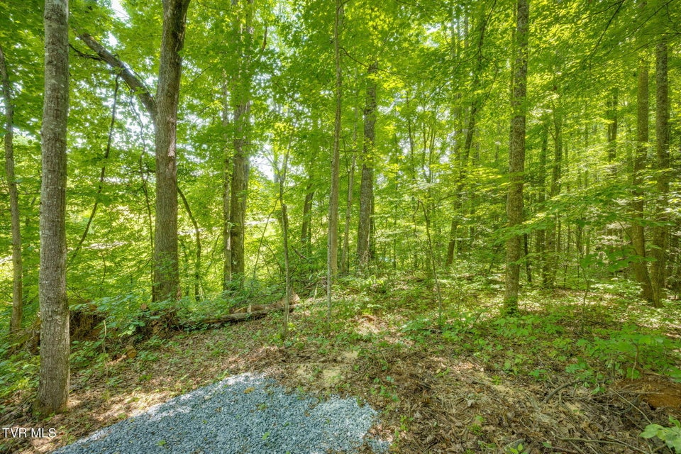 Photo #12: Tbd Jim Deal Road